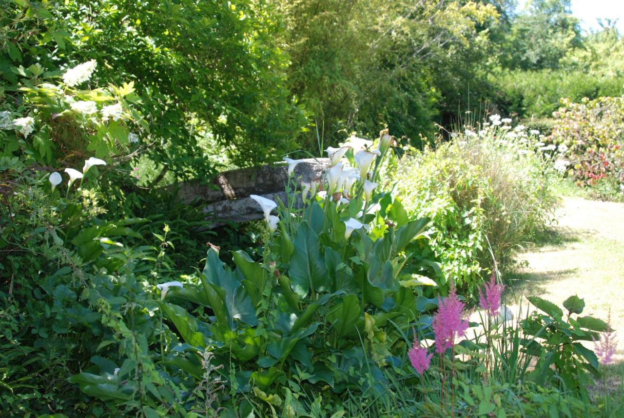 La Petite Marguerite Bed & Breakfast Chitenay Bagian luar foto